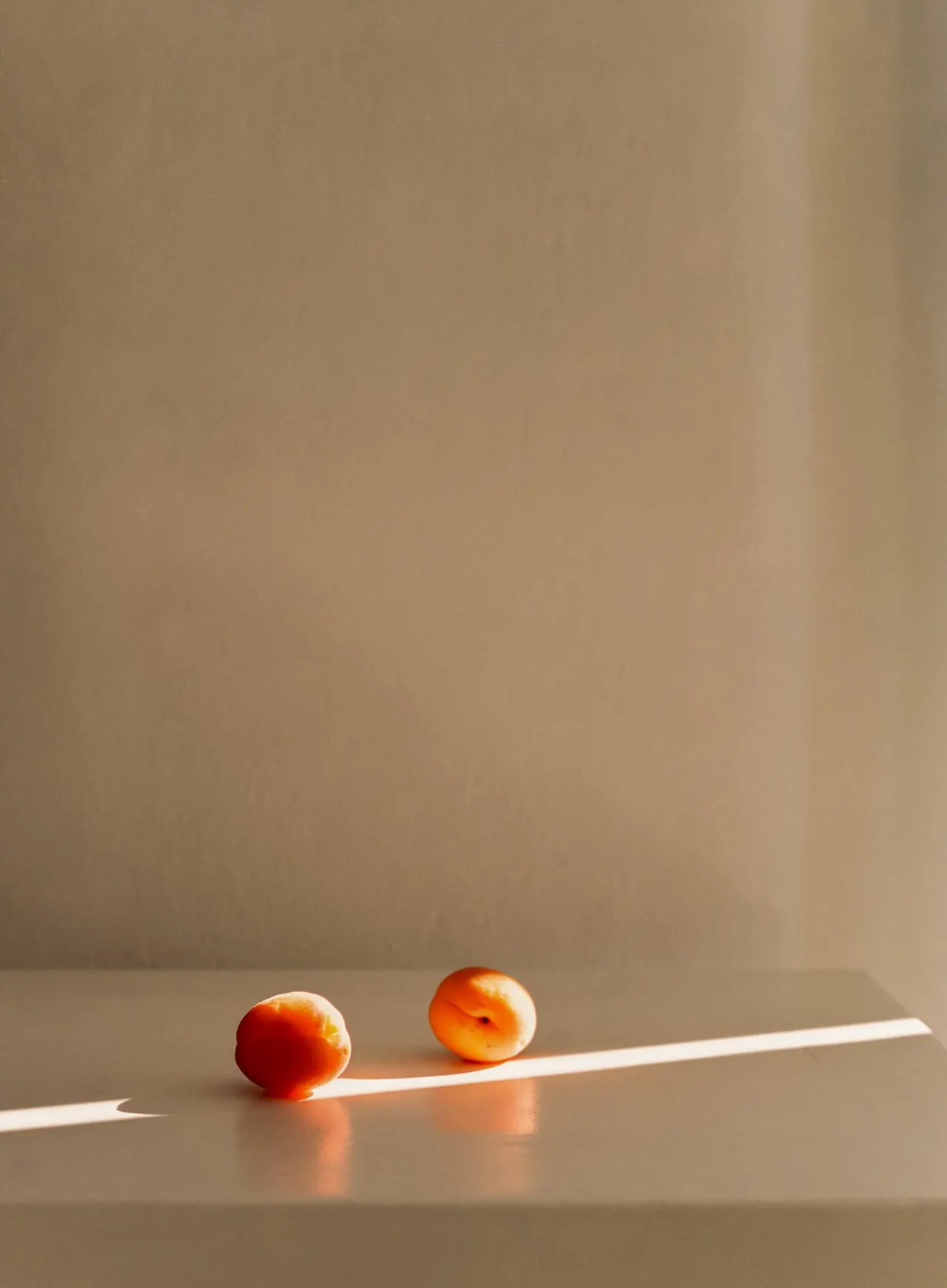 Two apricots in low afternoon light against a bare wall.
