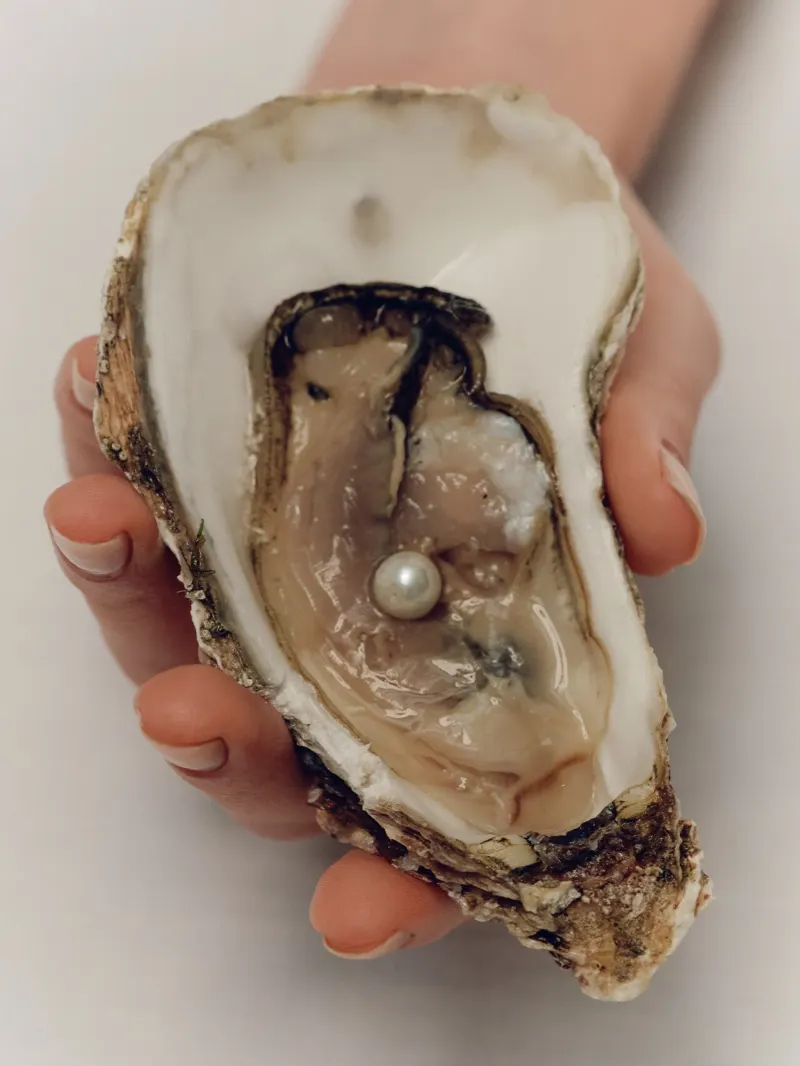An opened oyster held in one hand with a pearl sitting in it.